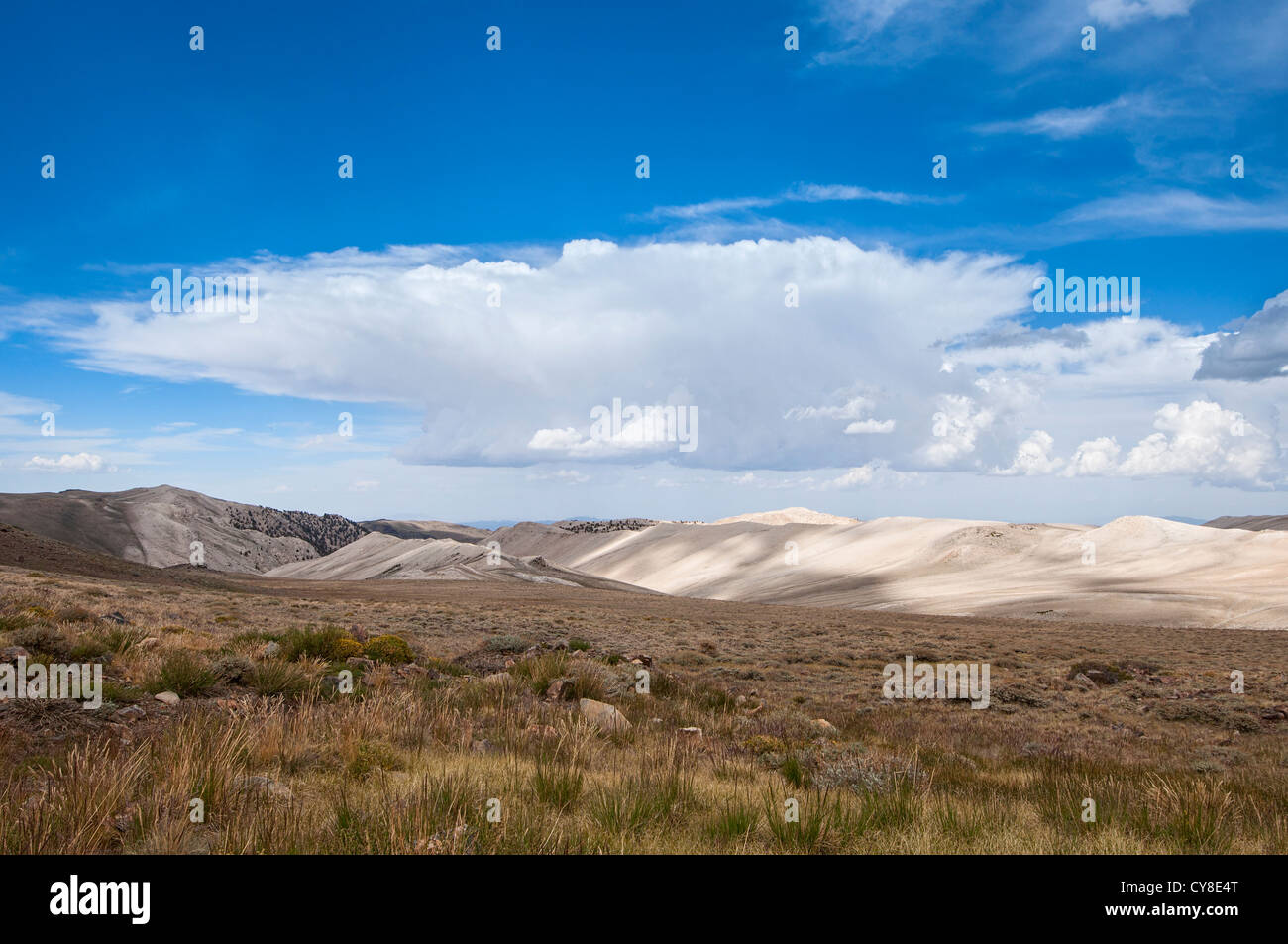 Vue sur les montagnes Blanches de l'Inyo National Forest. Banque D'Images