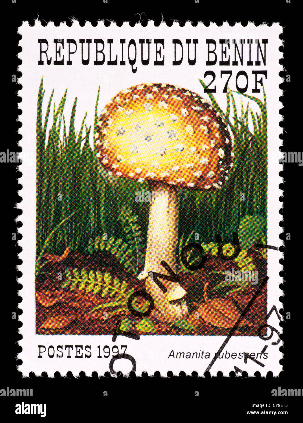 Timbre-poste du Bénin représentant un champignon (Amanita rubescens) Banque D'Images