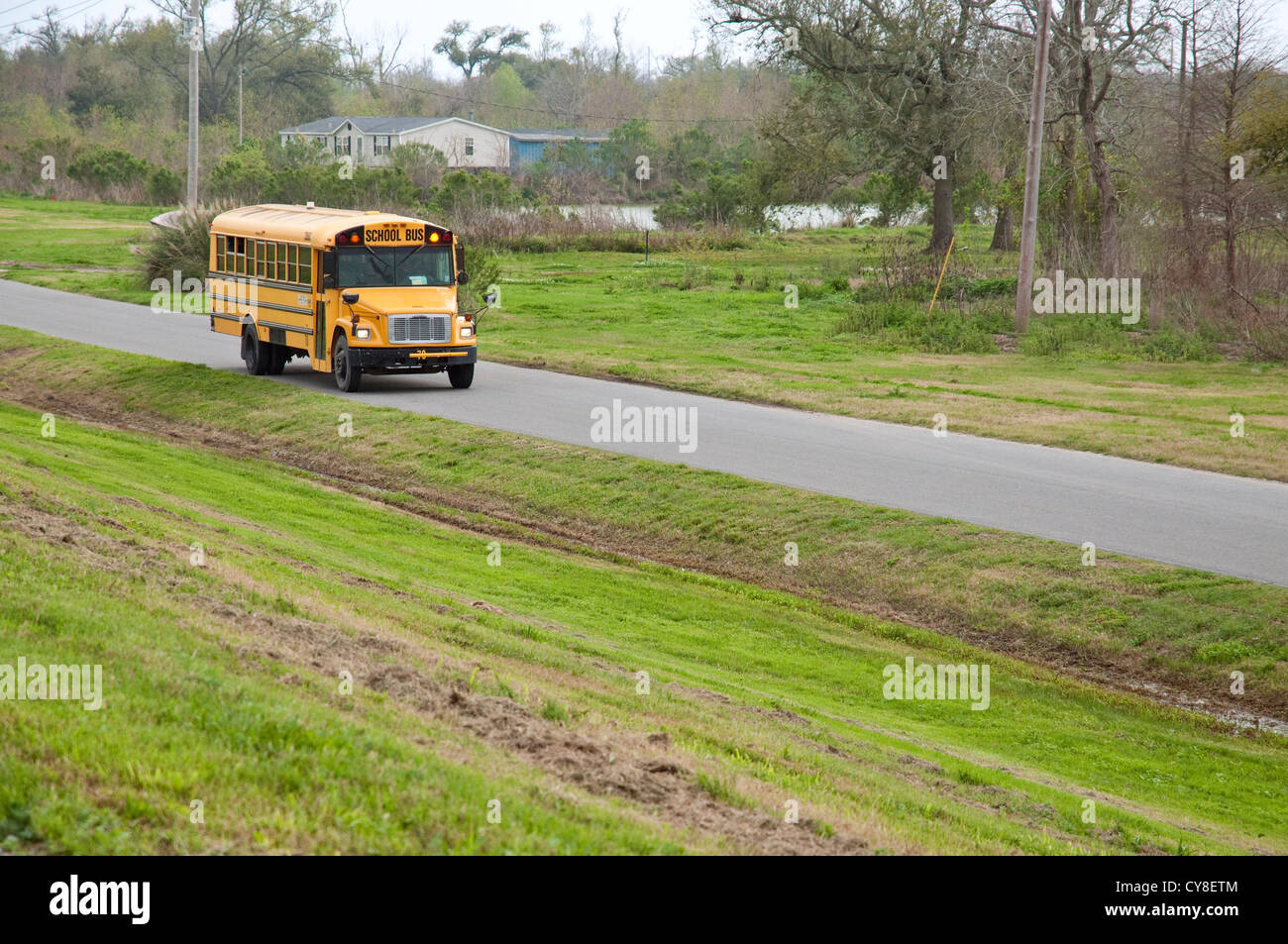 Autobus scolaire Banque D'Images