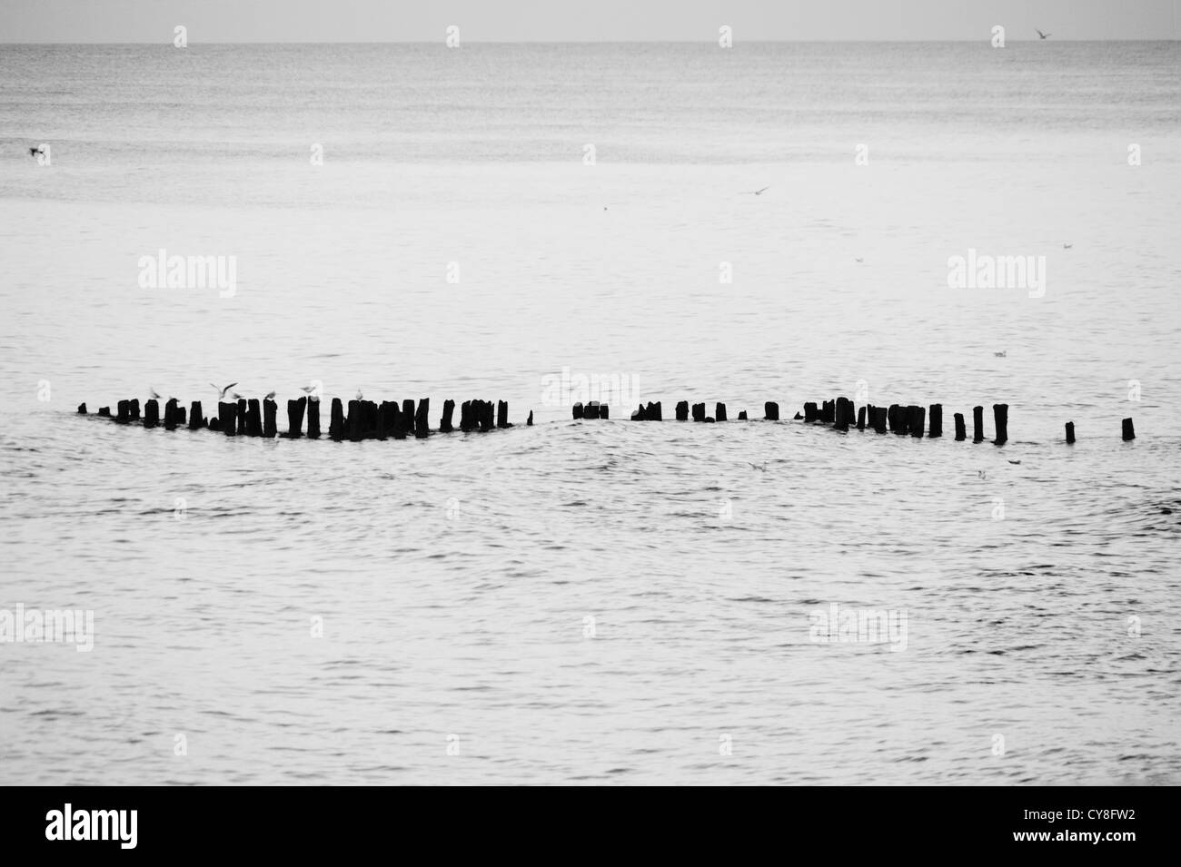Mouettes assis sur brise-lames dans la mer cloudscape Banque D'Images