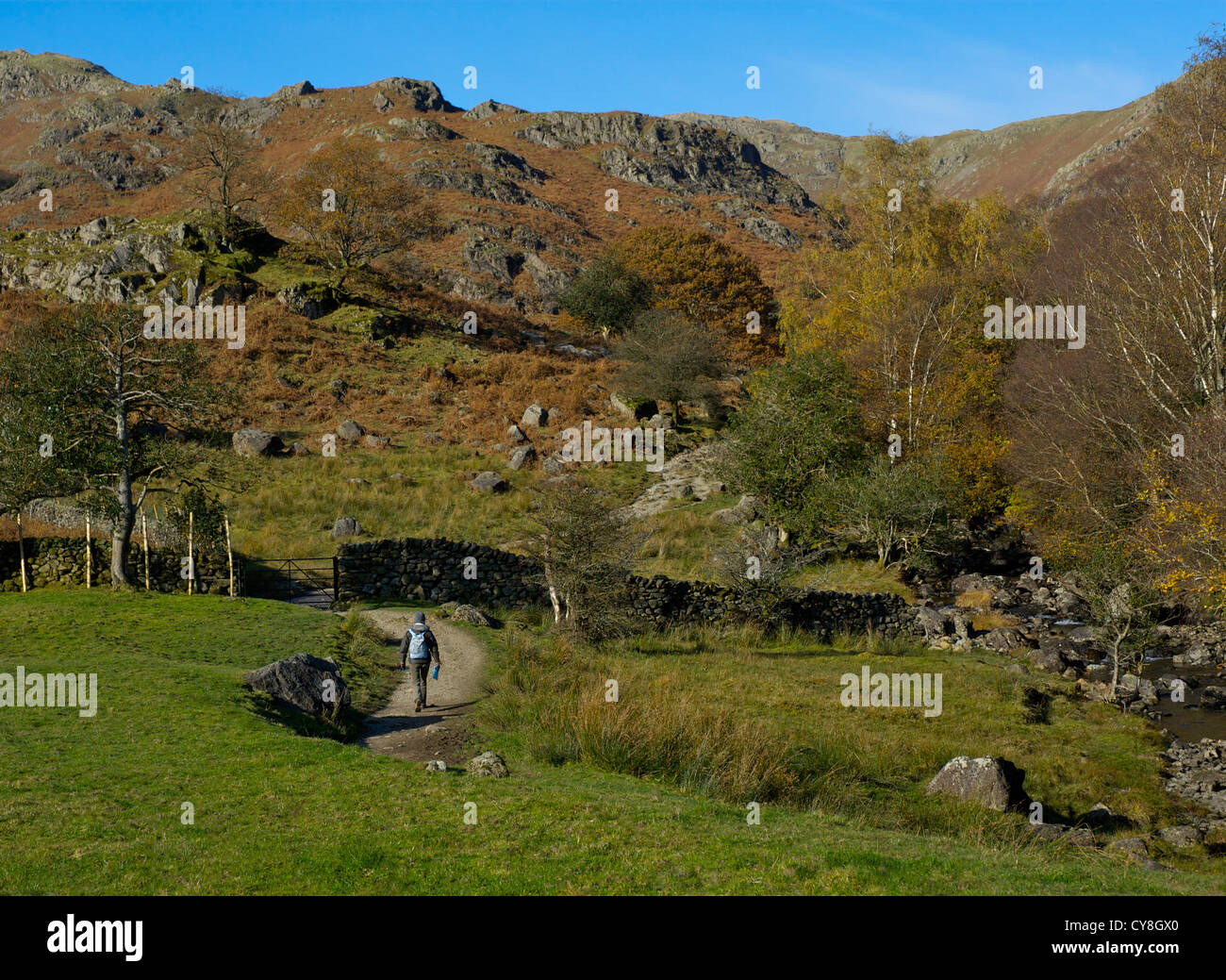 Femme dans la vallée de Easedale walker, Parc National de Lake District, Cumbria, England UK Banque D'Images