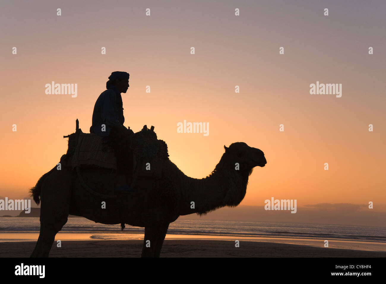 Man riding camel sur la plage au coucher du soleil, Essaouira, Maroc Banque D'Images
