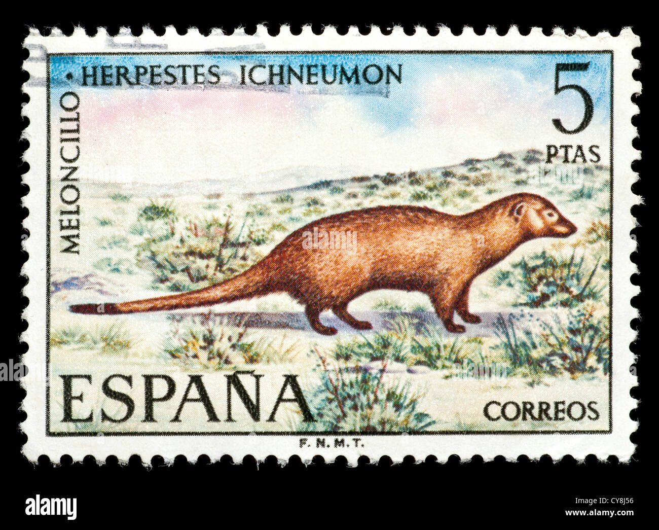 Timbre d'Espagne représentant égyptien suis mongoose (Herpestes mouche ichneumon). Banque D'Images