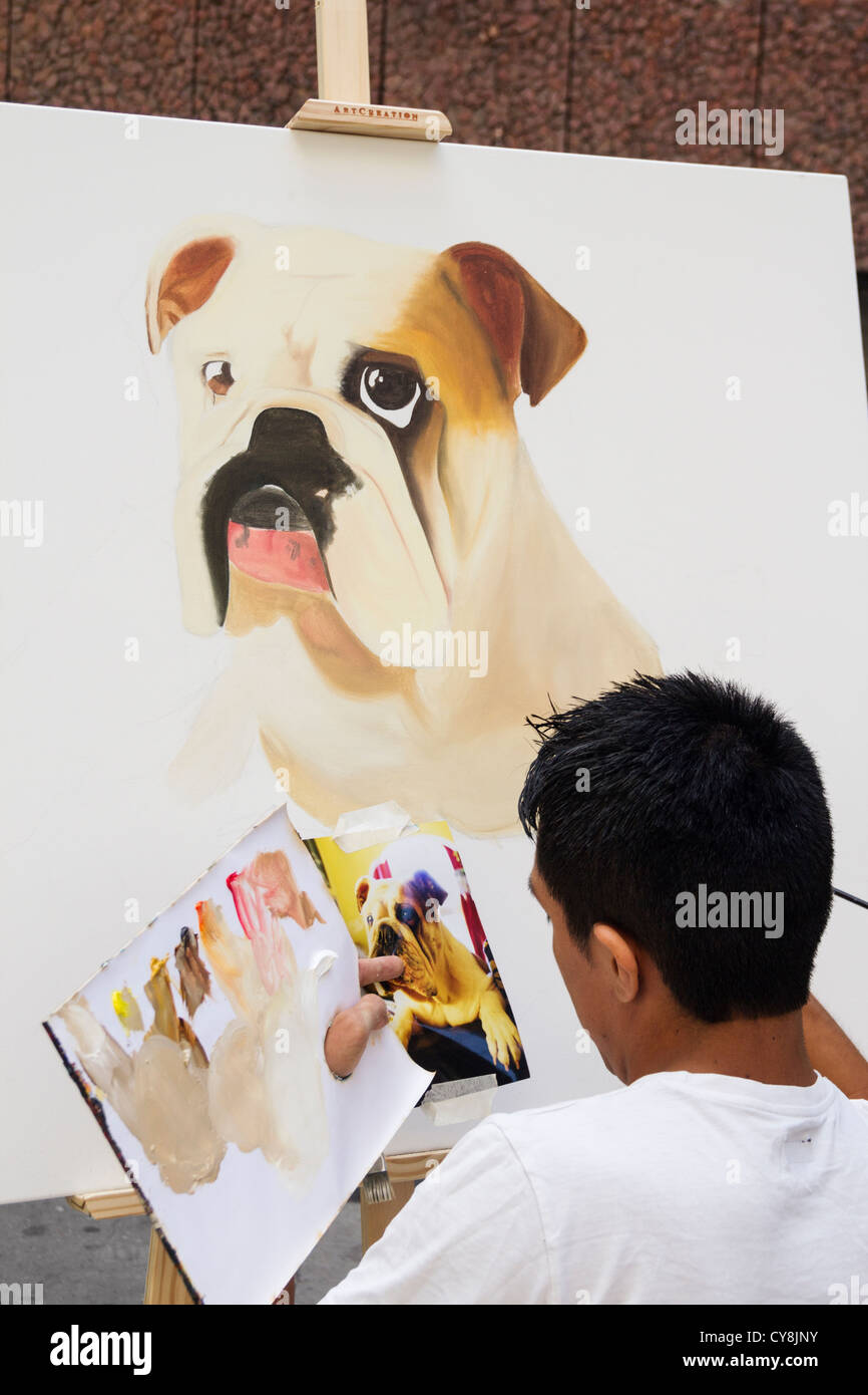 Jeune artiste peinture photographie de chien à anunal peinture rapide en compétition street à Las Palmas, Gran Canaria. Banque D'Images