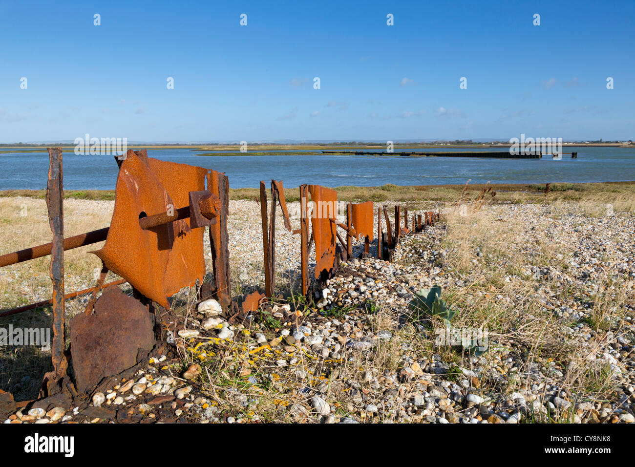 Pagham Harbour ; RSPB réserve ; West Sussex Banque D'Images