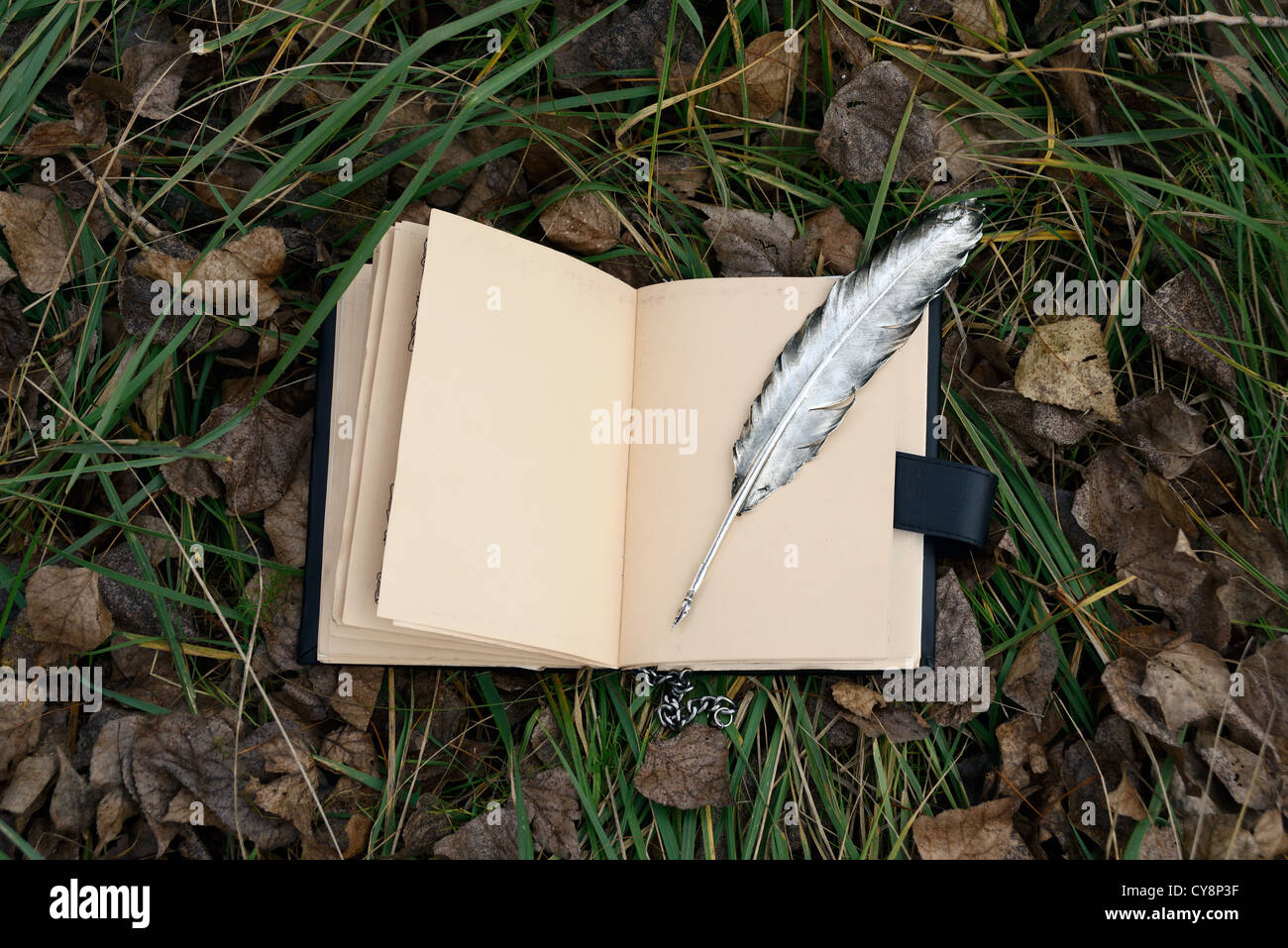 Livre de magie et silver pen Banque D'Images