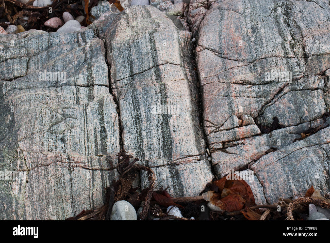 Falaise de gneiss Lewisian bagués. Côté ouest de l'île d'Iona. Hébrides intérieures, au SW de l'Écosse. Banque D'Images