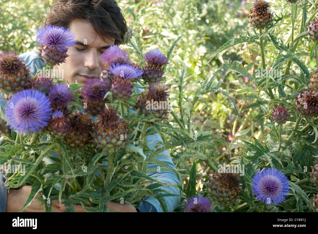 Mid-adult man in flowering bush chardon, les yeux fermés Banque D'Images