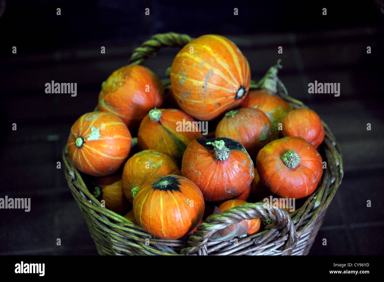 Les petites citrouilles de taille inférieure à la vente après temps humide au cours de l'été ruiné la récolte Banque D'Images