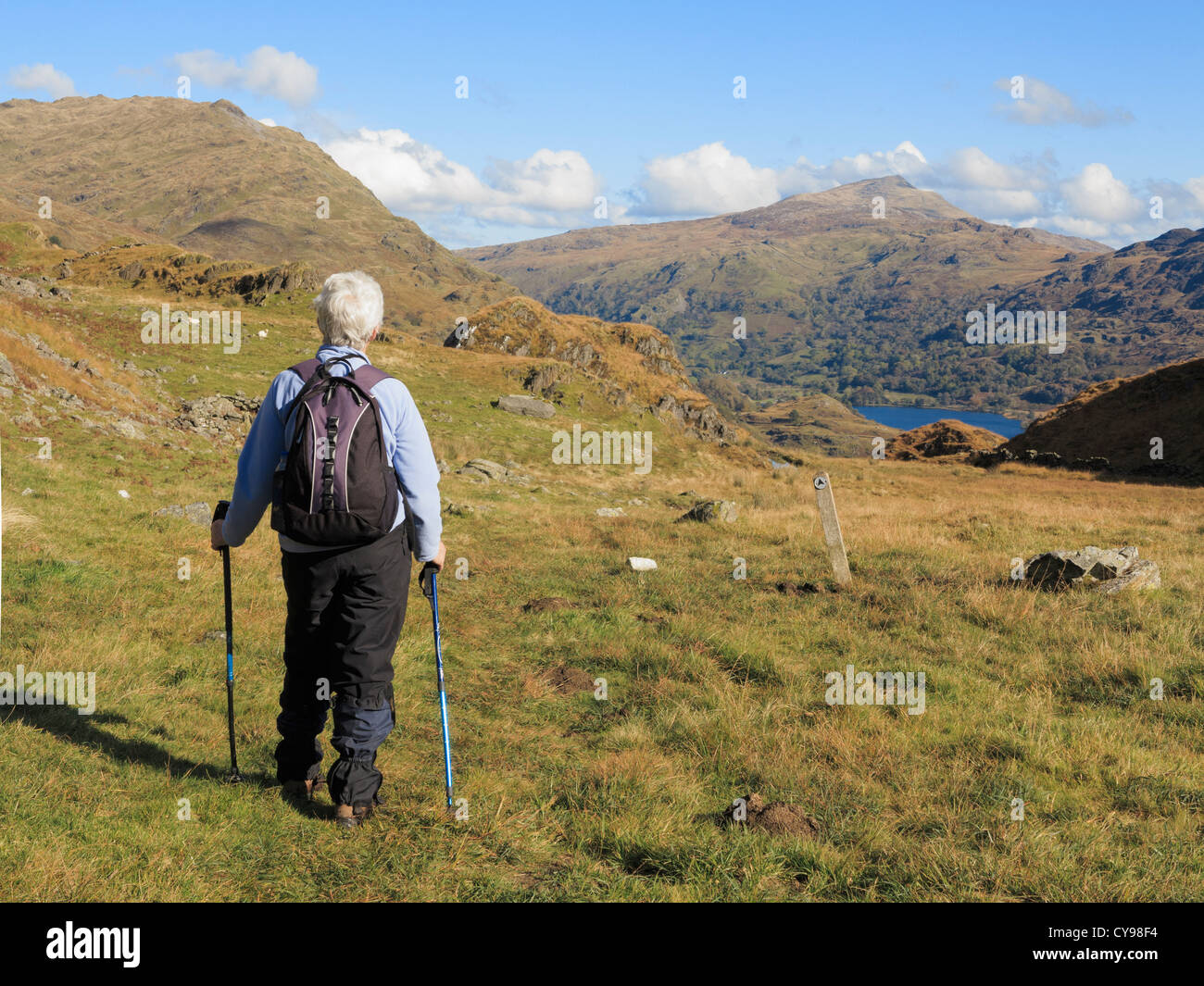 Randonneur Active senior woman looking at view à Moel Siabod à Nant Gwynant de Hafod Y Llançà sentier dans le Nord du Pays de Galles Snowdonia UK Banque D'Images