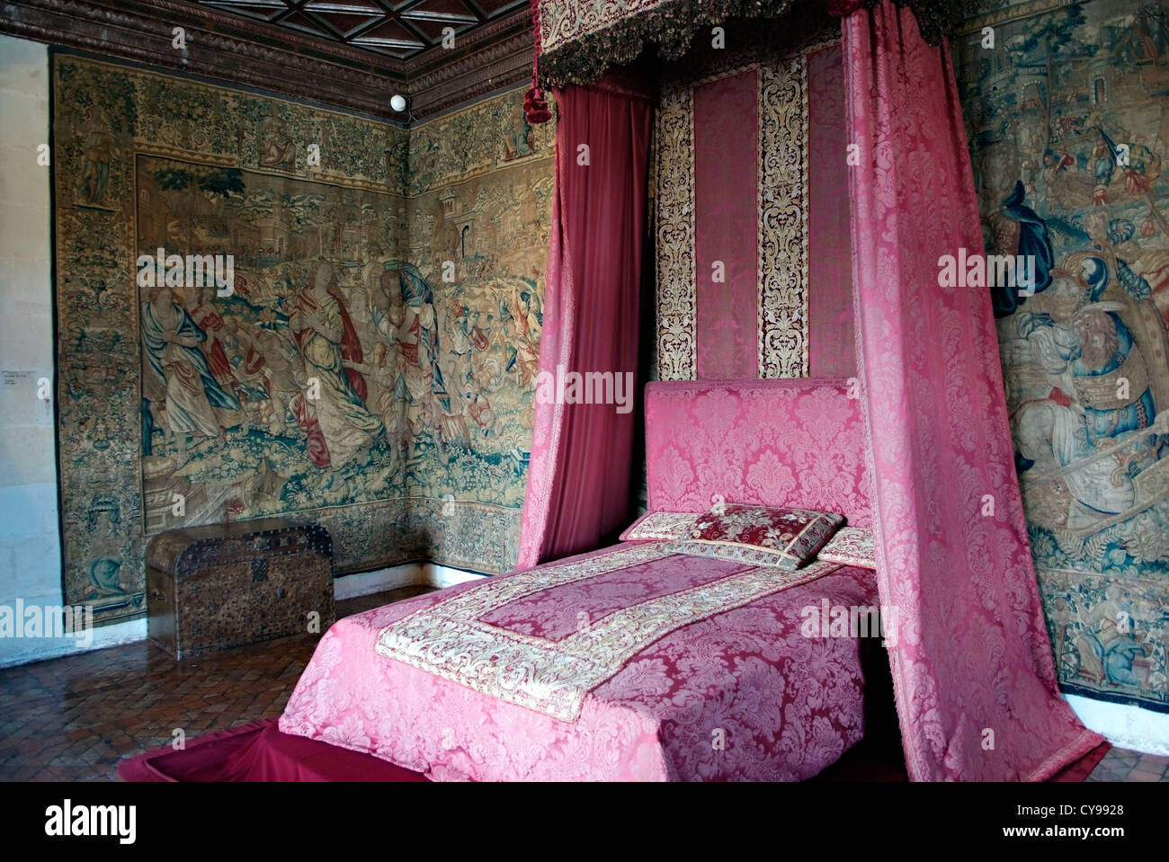 FRANCE Château de Chenonceau est un manoir près du petit village de Chenonceaux, vallée de la Loire. Banque D'Images