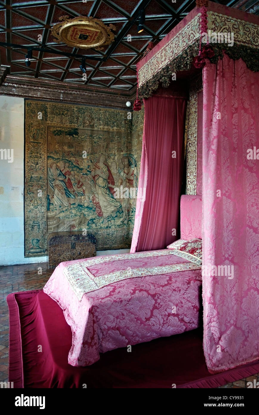 FRANCE Château de Chenonceau est un manoir près du petit village de Chenonceaux, vallée de la Loire. Banque D'Images