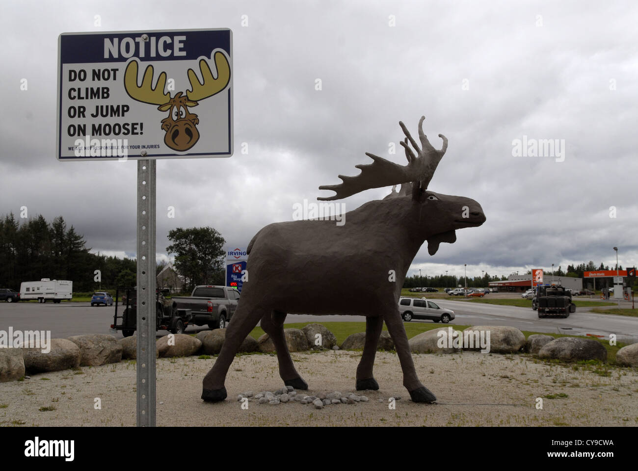 Sculpture d'un orignal, Deer Lake, Terre-Neuve Banque D'Images