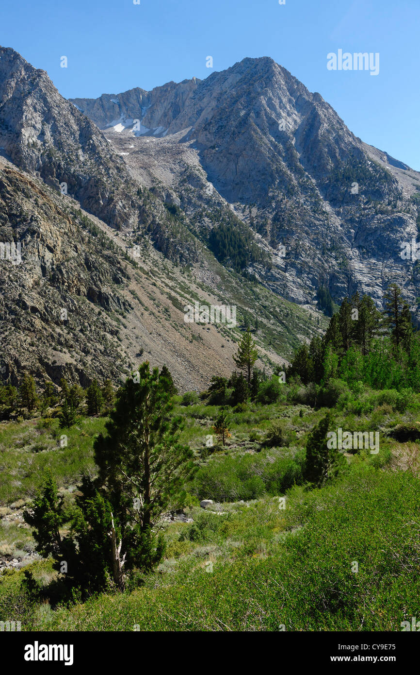 Lac du bassin de la mono pour Yosemite, la Route 120 - paysage peu après l'entrée de l'Est. Lee Vining Peak. Banque D'Images