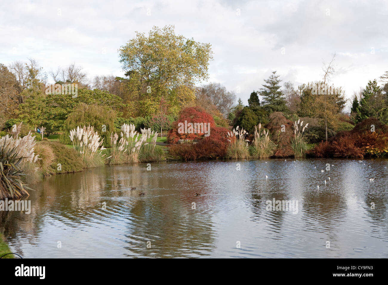 Couleurs d'automne à Wakehurst Place dans West Sussex Banque D'Images