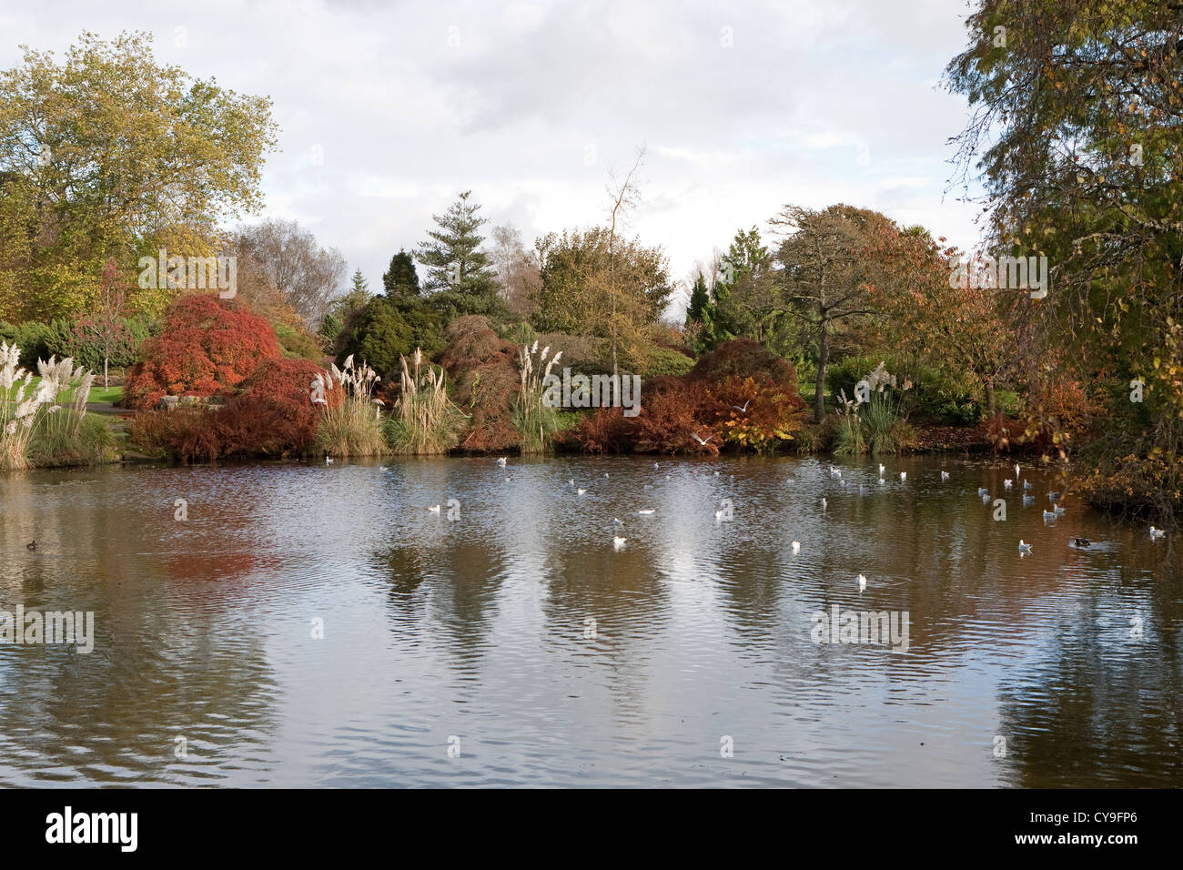 Couleurs d'automne à Wakehurst Place dans West Sussex Banque D'Images