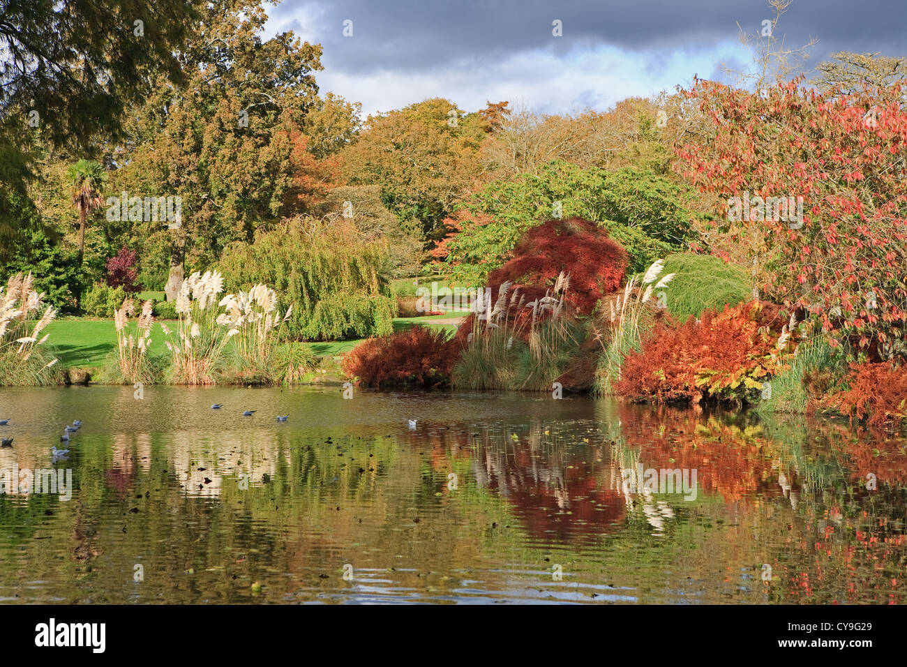 Couleurs d'automne la réflexion sur le lac à Wakehurst Place Banque D'Images