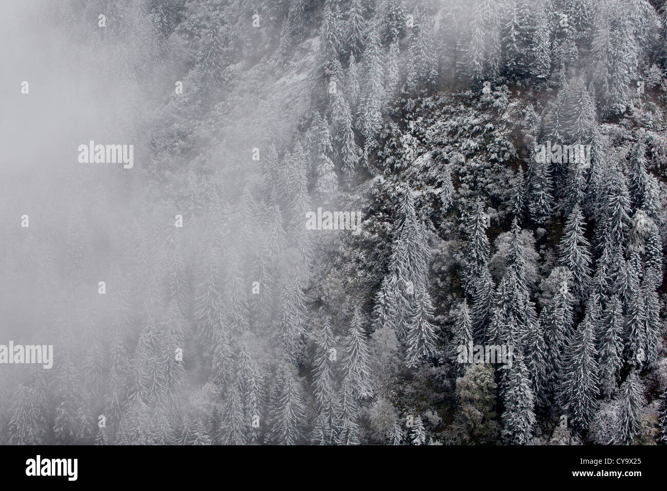 Réunion de l'automne est l'hiver dans les Alpes françaises, chaîne des Aravis, Le Grand Bornand, France Banque D'Images