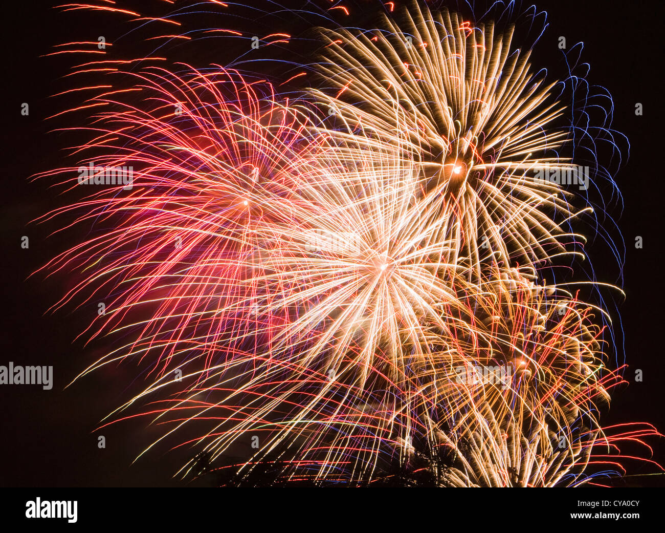 Feux d’artifice. Banque D'Images