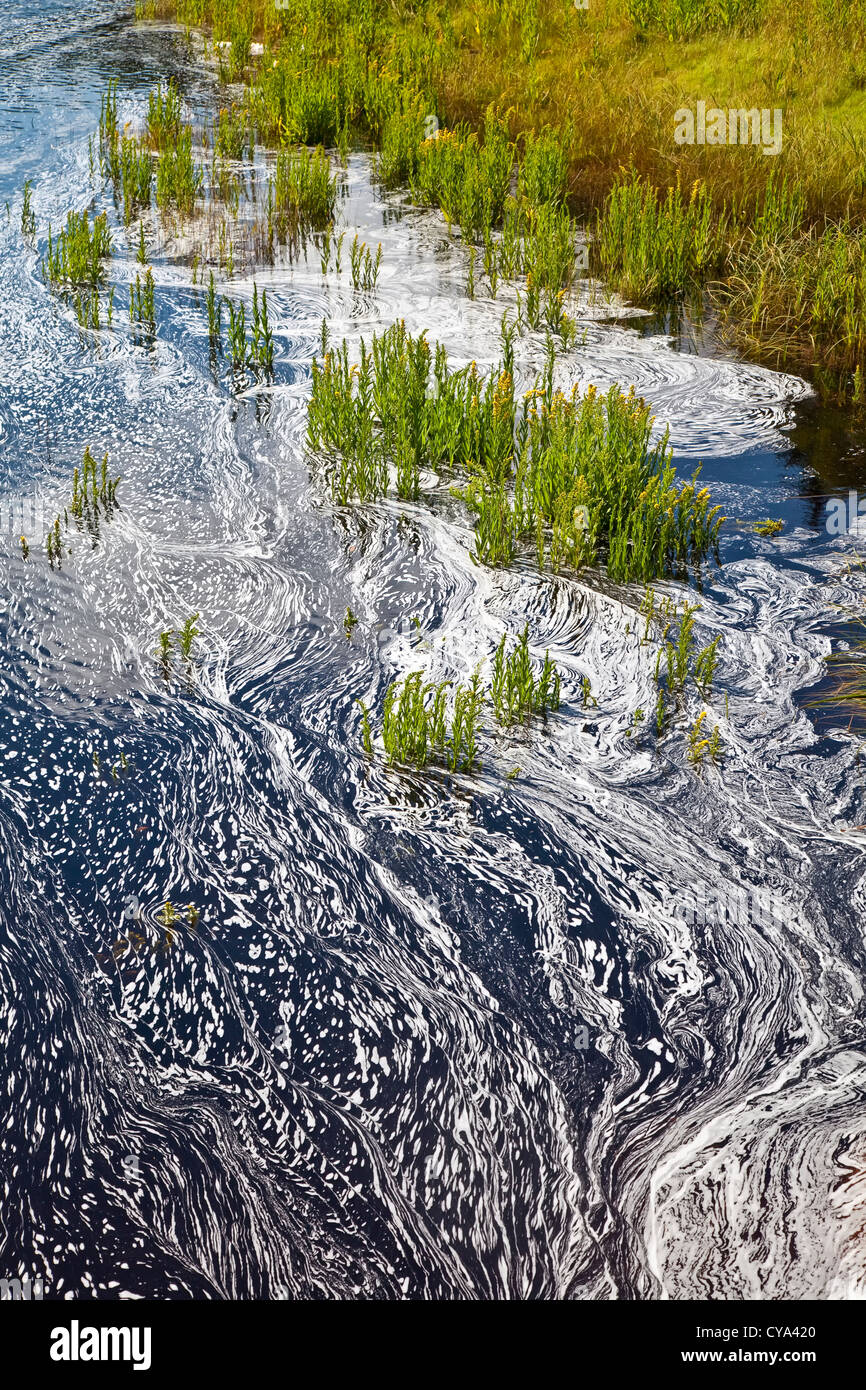 Un type de mousse fond naturel ou synthétique, qui s'écoule dans une rivière lente. Banque D'Images