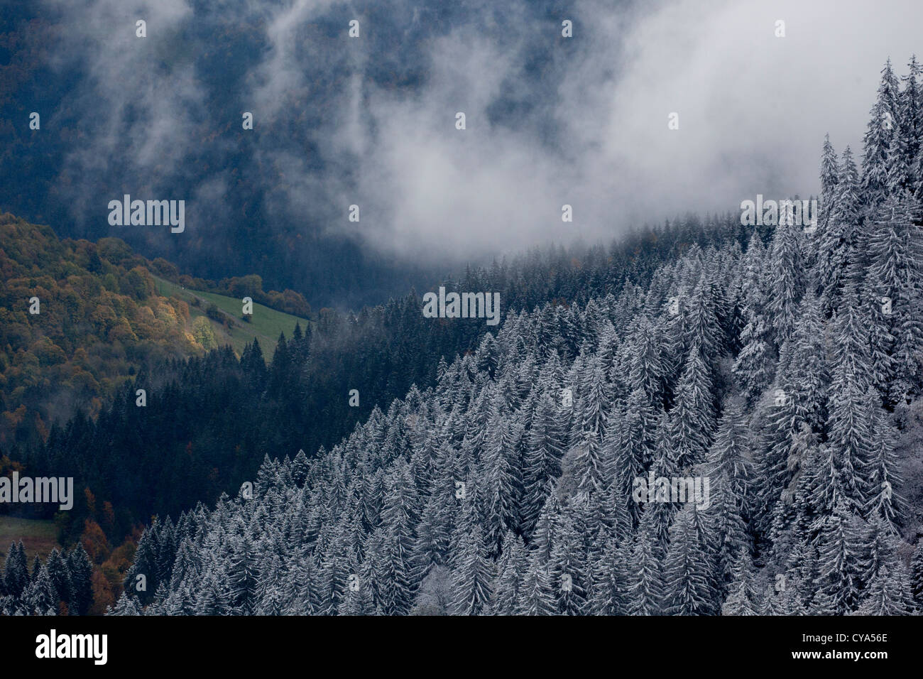 Réunion de l'automne est l'hiver dans les Alpes françaises, chaîne des Aravis, Le Grand Bornand, France Banque D'Images