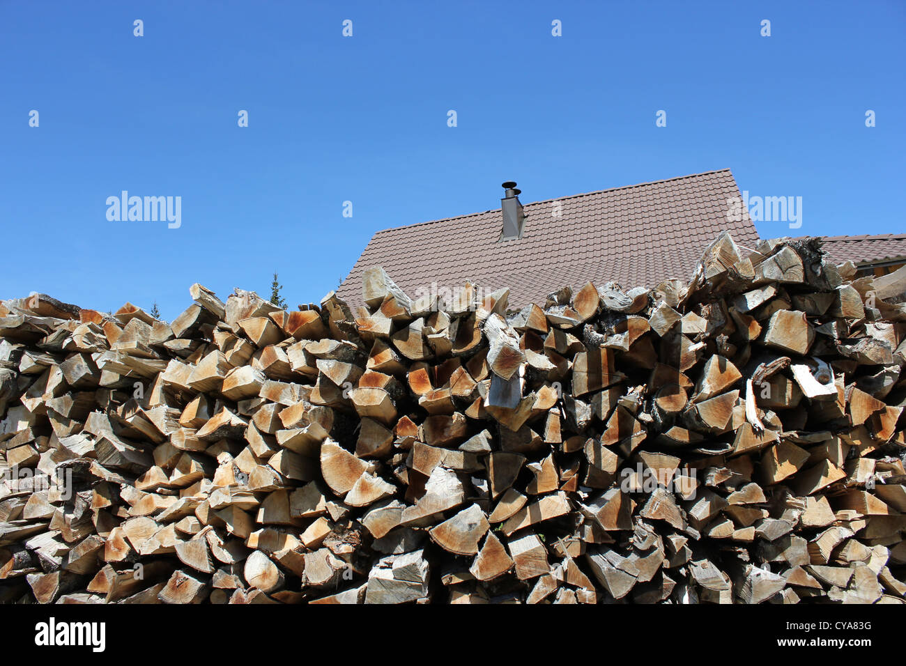 Pile de bois de chauffage coupé avec un toit à l'arrière-plan Banque D'Images