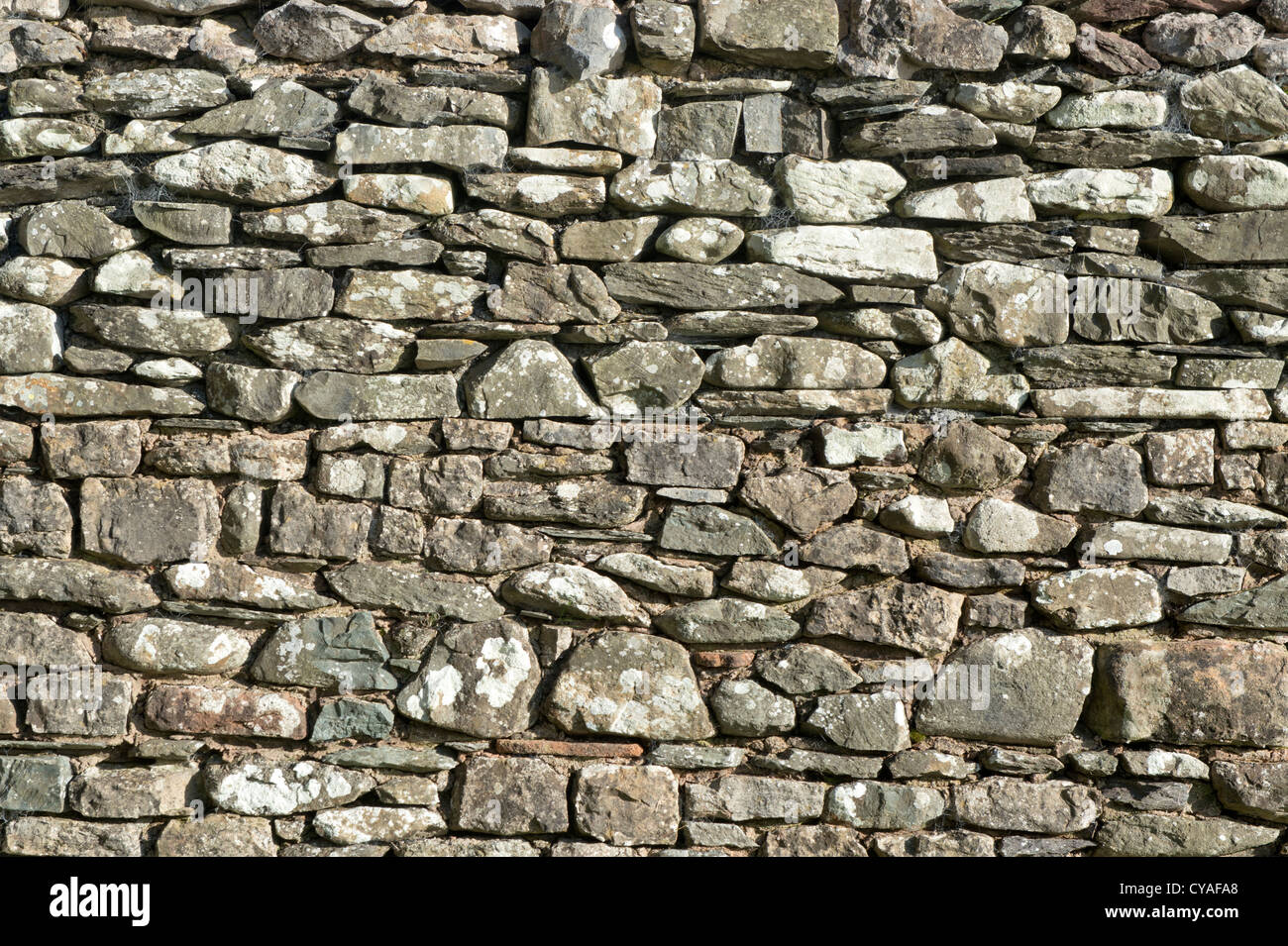 Un mur en pierre sèche situé dans le Lake District, Cumbria, Royaume-Uni. Banque D'Images