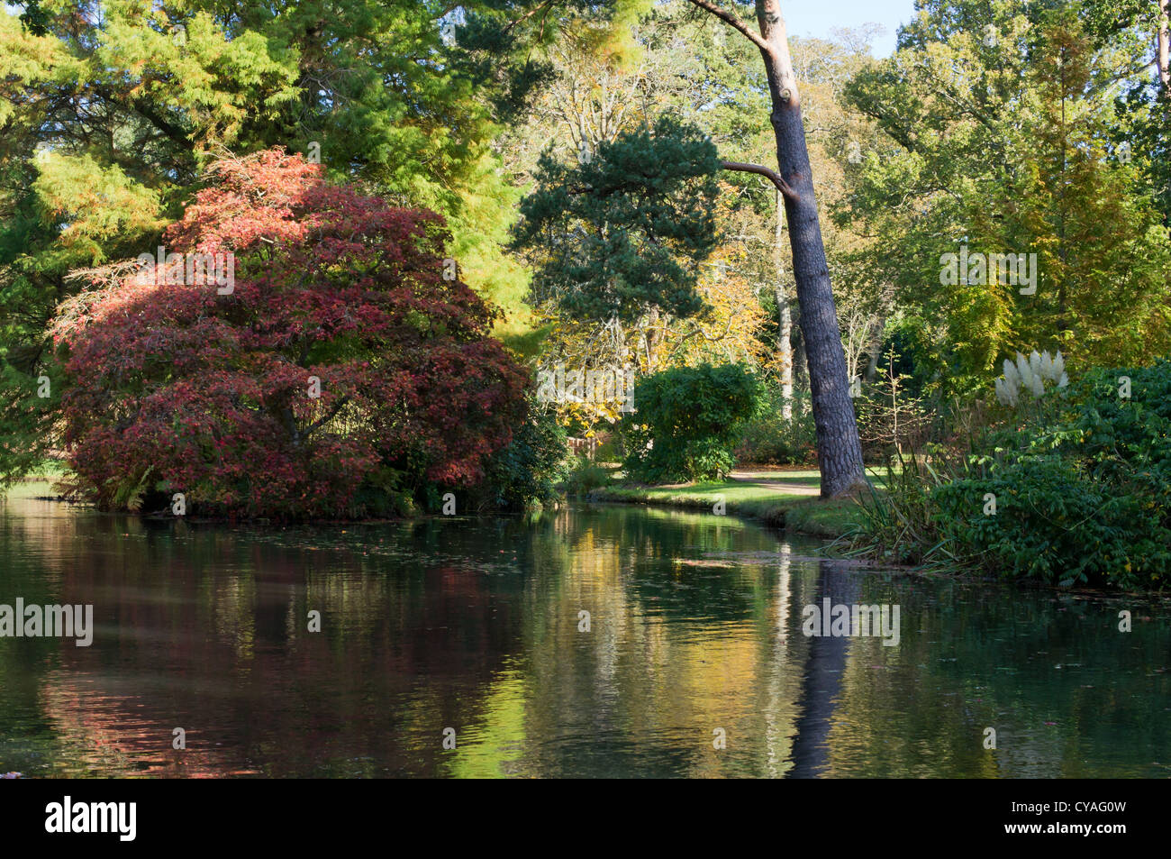 Exbury Gardens à l'automne sur un après-midi ensoleillé avec des arbres se reflétant dans un lac. Banque D'Images