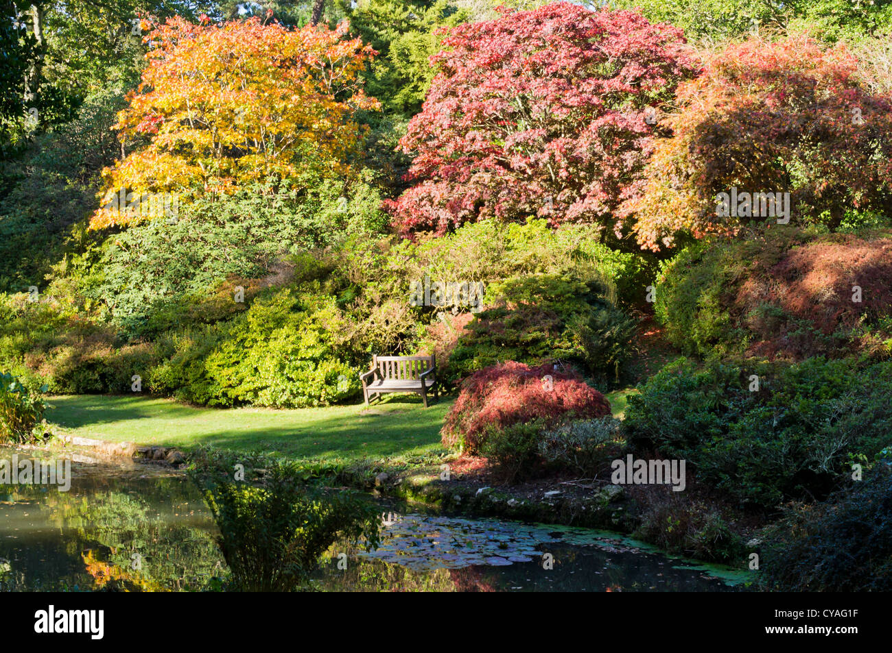 Exbury Gardens à l'automne sur un après-midi ensoleillé avec des arbres se reflétant dans un lac. Banque D'Images