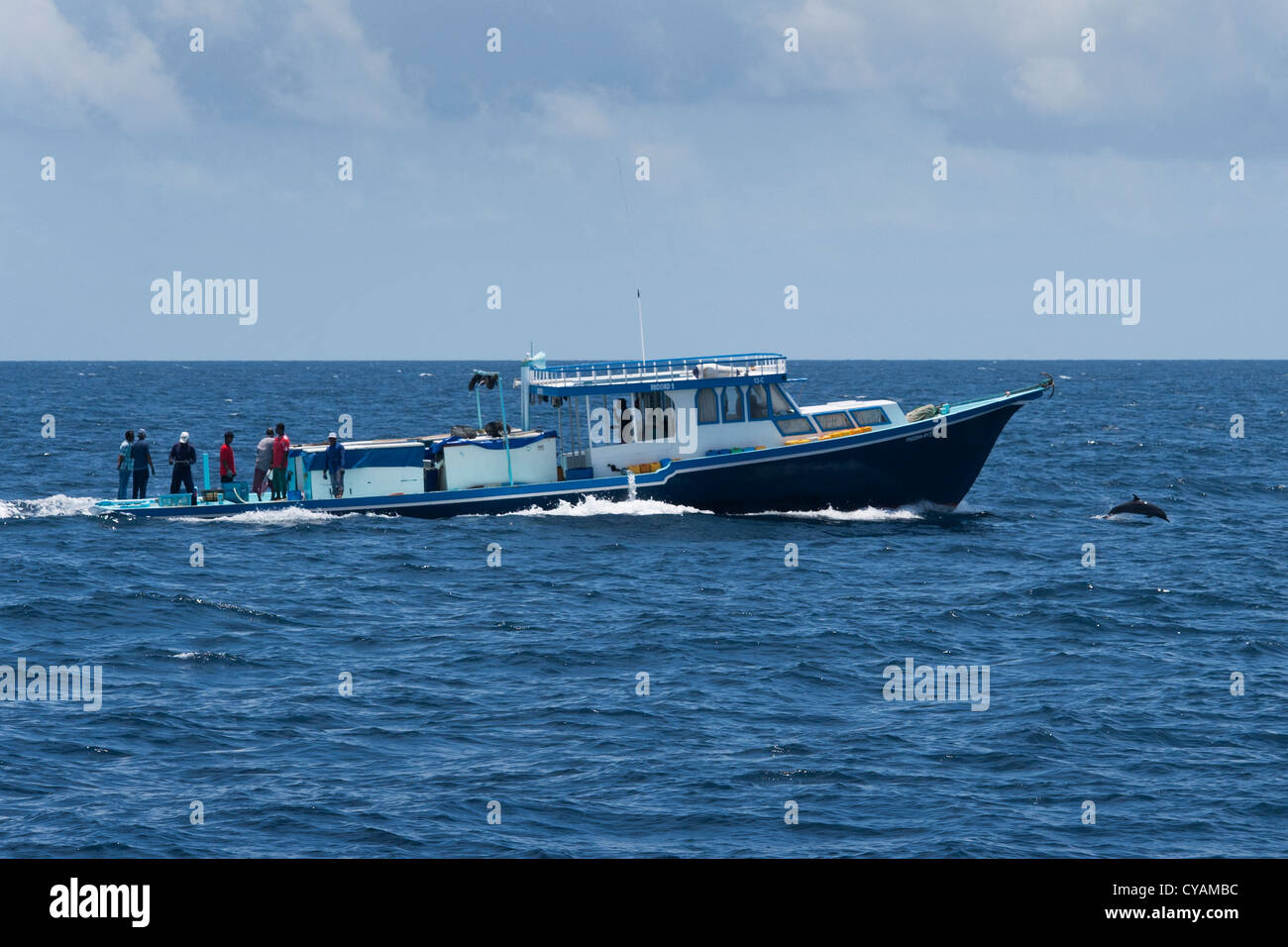 Bateau de pêche du thon des Maldives avec dauphin tacheté Pantropical Stenella attenuata, tangage, en face d'elle. Les Maldives. Banque D'Images