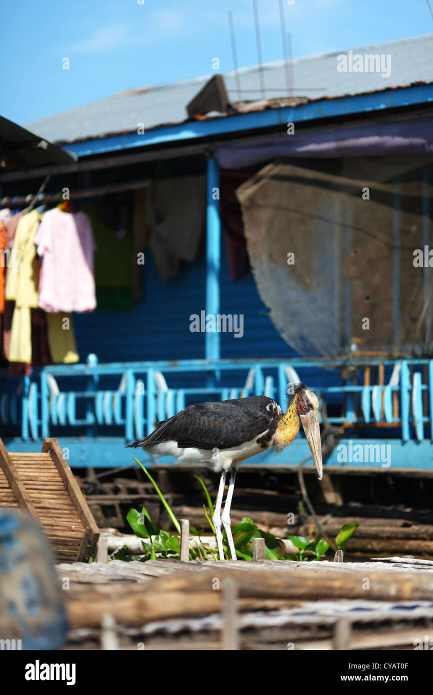 Stork pataugeant au village flottant sur le lac Inle, Myanmar Banque D'Images