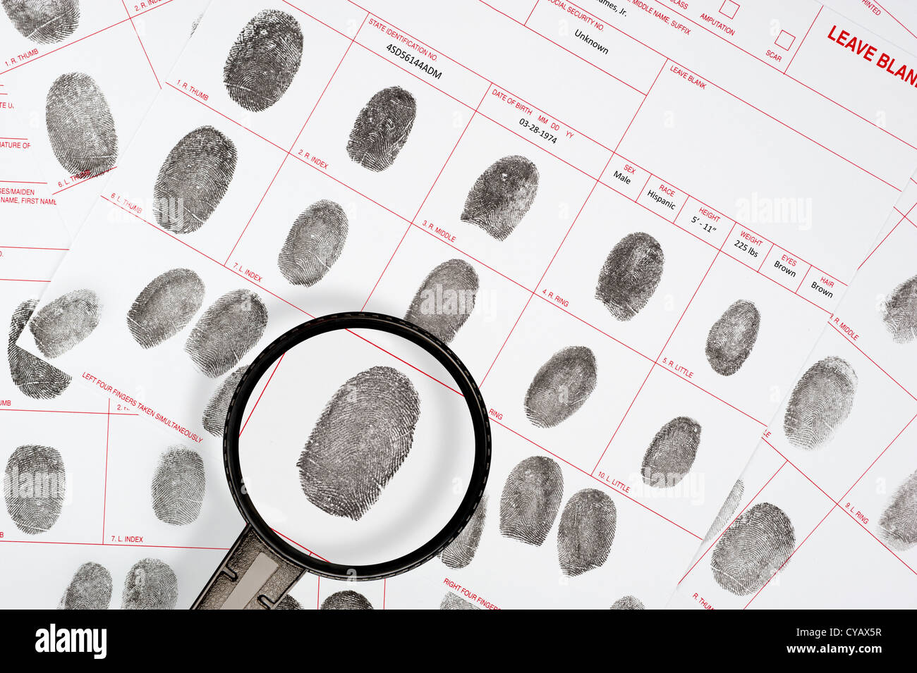 Un inspecteur judiciaire ressemble à un suspect sur les fichiers d'empreintes digitales juridique detective. Banque D'Images