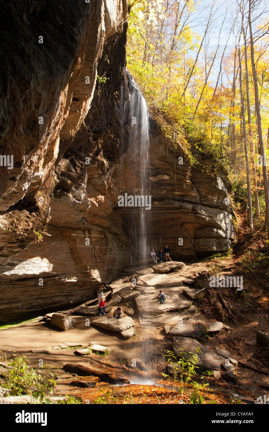 Moore Cove Falls - Pisgah Forest National - près de Brevard, North Carolina, États-Unis Banque D'Images