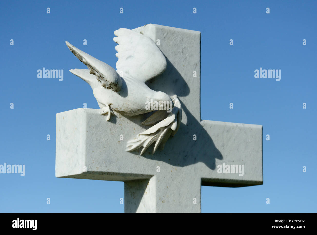 Pierre tombale avec colombe et branche d'olivier. Eglise de Sainte Brigitte. De l'île Moresby, Cumbria, Angleterre, Royaume-Uni, Europe. Banque D'Images