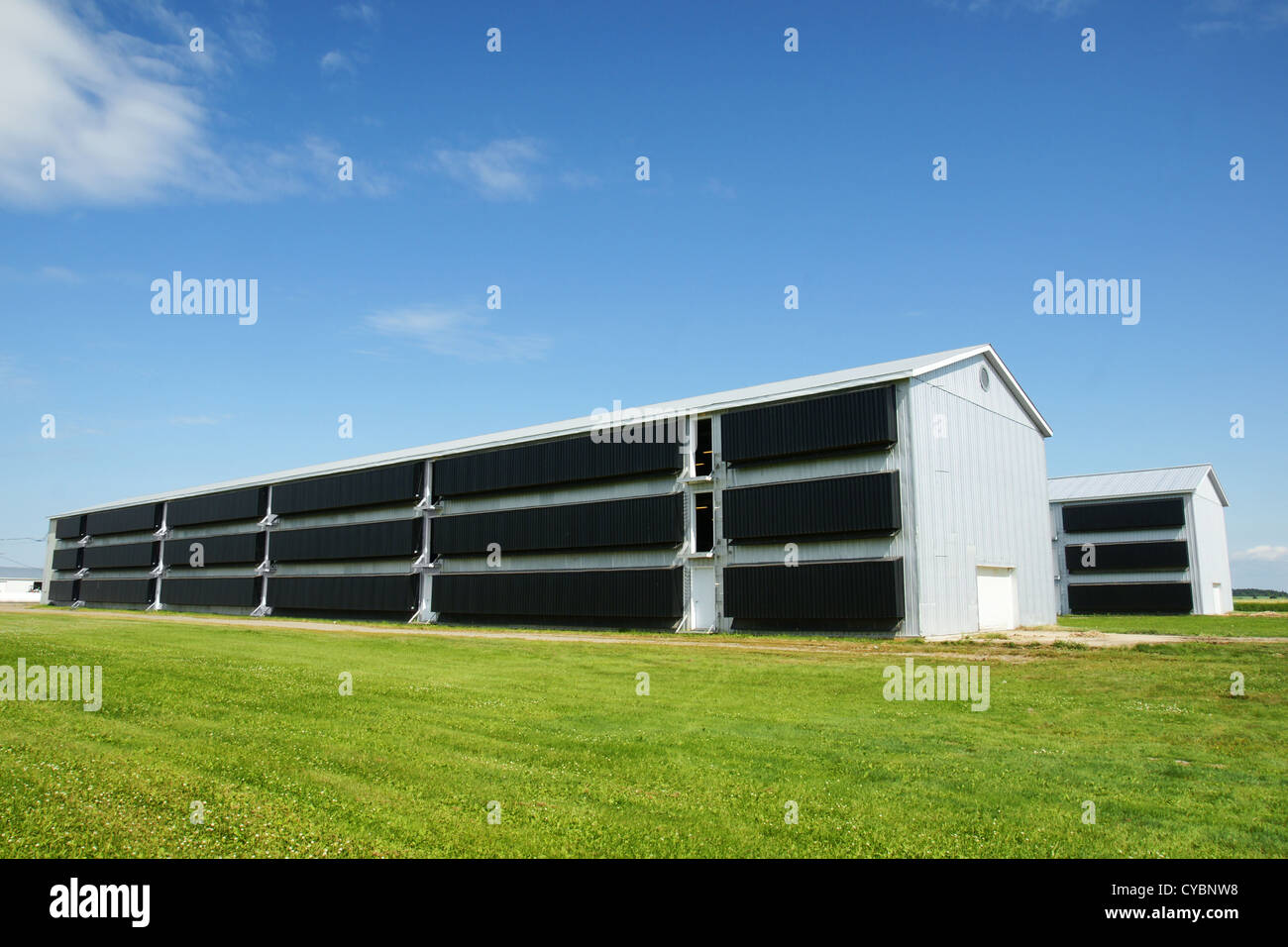 Grand poulailler industriel moderne, idéale pour l'alimentation ou  l'agriculture thèmes connexes Photo Stock - Alamy
