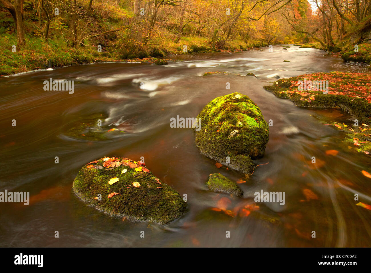 La Rivière, Ystradfellte Mellte, Brecon Beacons, Powys Pays de Galles Banque D'Images