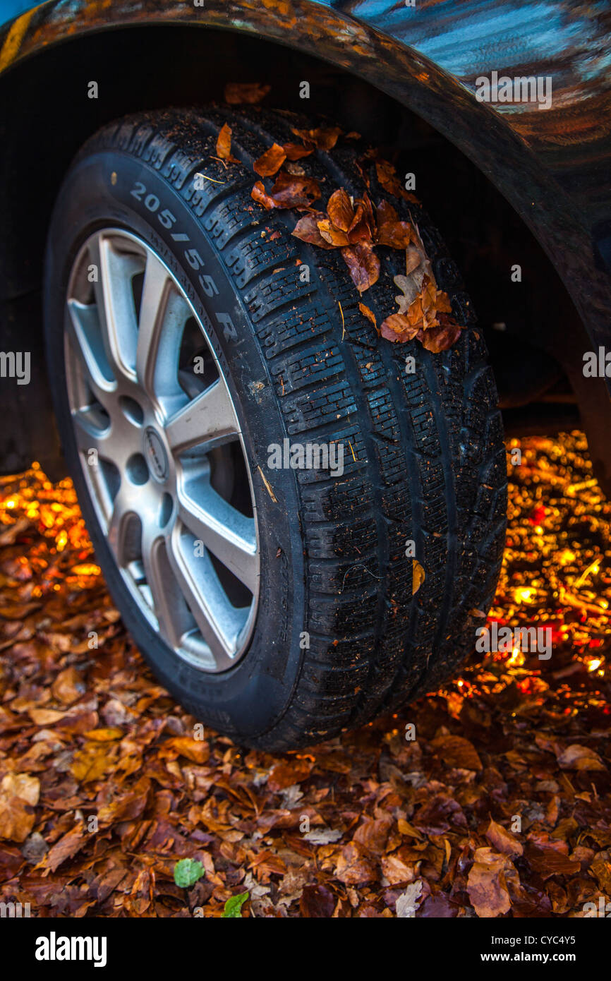 Voiture est conduite sur une rue, couverts avec des feuilles d'arbres en automne. Dangereuse, glissante, moins d'adhérence des pneus. Banque D'Images