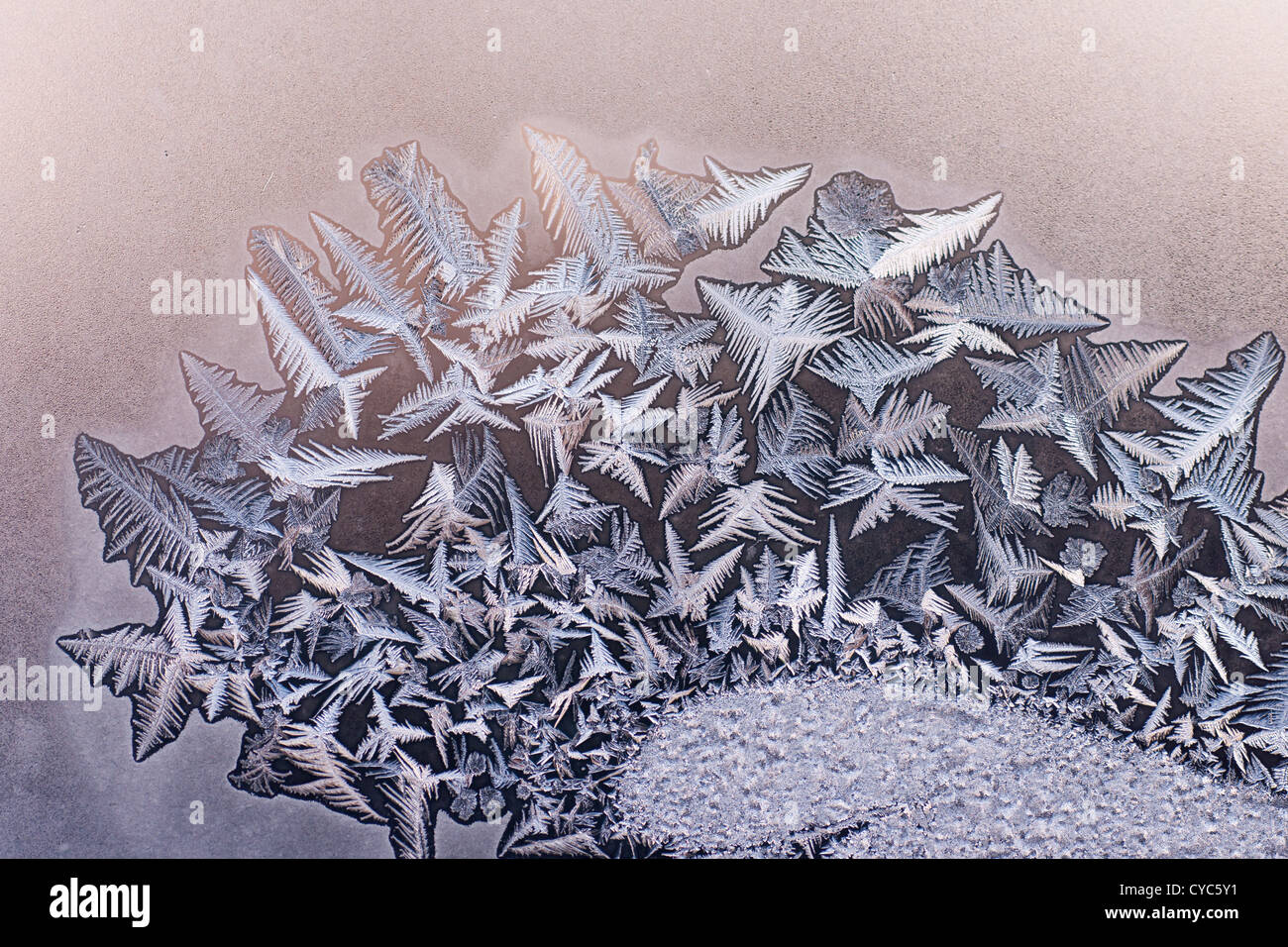 Hiver Gel modes sur une vitre Banque D'Images