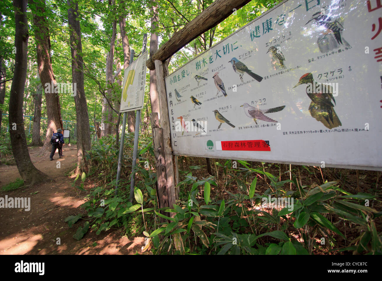 Un signe sur le sentier de randonnée du mont Maruyama montre les types d'oiseaux trouvés dans la forêt. Sapporo, Hokkaido, Japan Banque D'Images