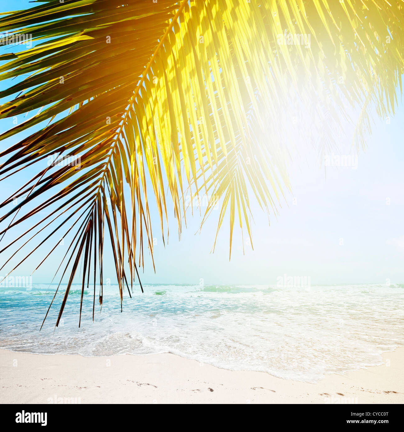 Plage tropicale en journée ensoleillée. La composition carrée. Banque D'Images Plage tropicale en journée ensoleillée. La composition carrée. Banque D'Images