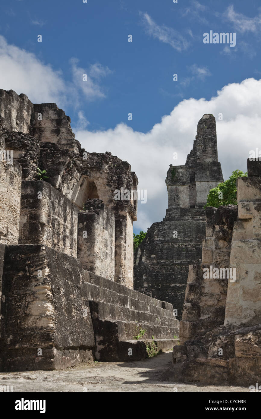 Les magnifiques ruines mayas de Tikal au Guatemala, les jungles d'Amérique centrale. Banque D'Images