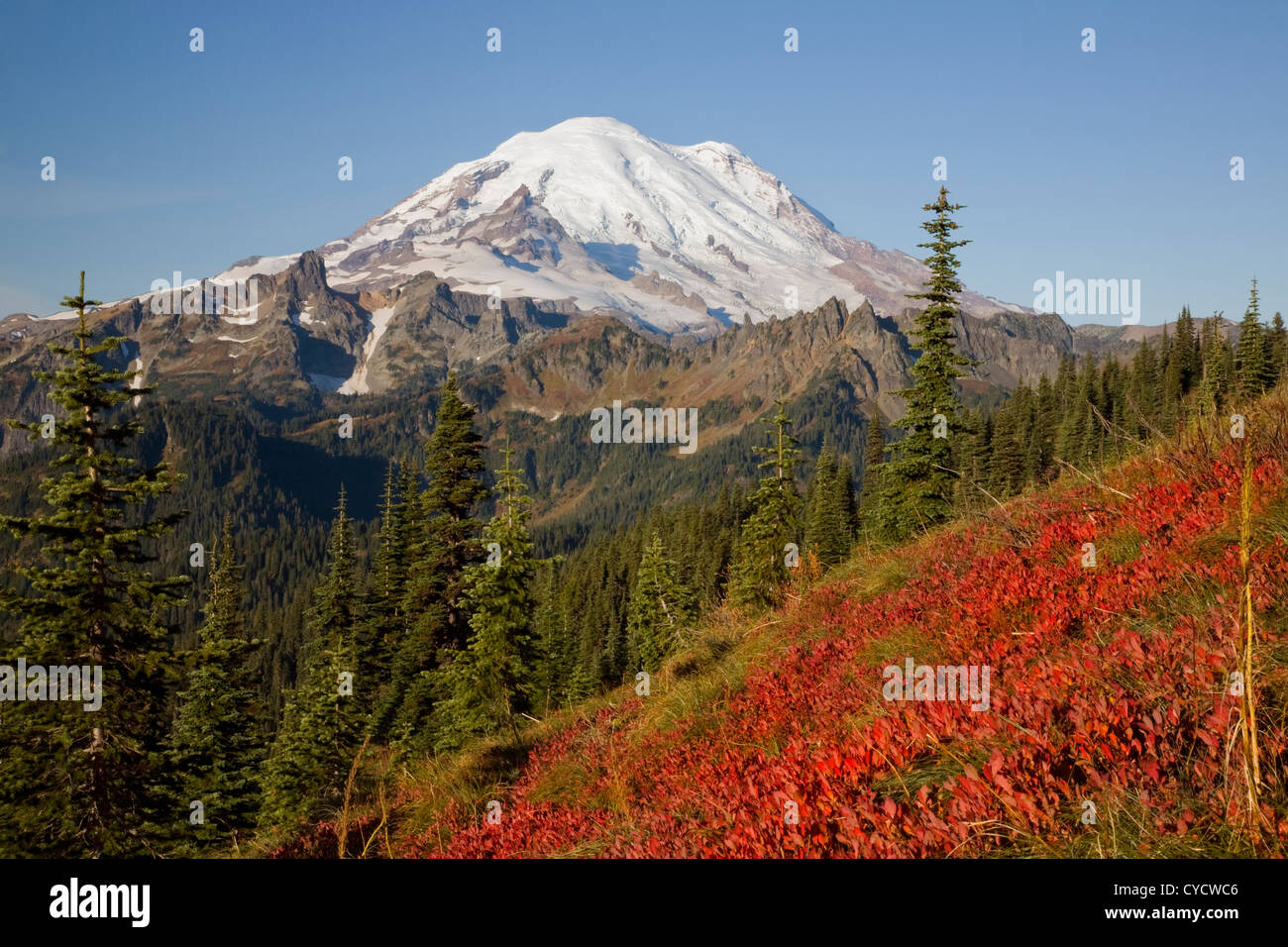 WA05091-00...WASHINGTON - Le Mont Rainier du sentier en boucle Pic Naches au Col Chinook dans Mount Rainier National Park. Banque D'Images