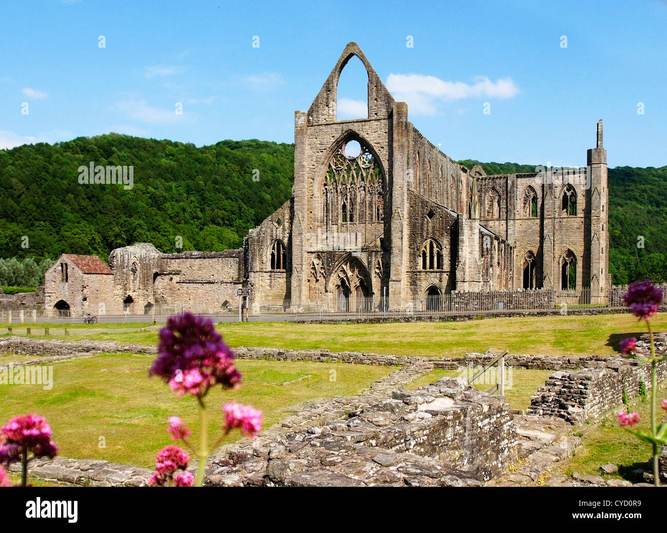 Abbaye de Tintern Banque D'Images