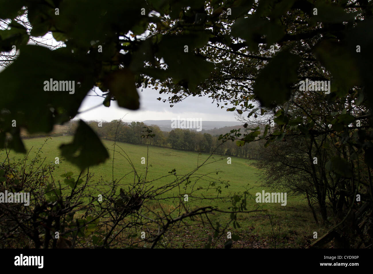 Le Parc National des South Downs, dans le sud-est, près de Brighton, East Sussex, UK. Banque D'Images