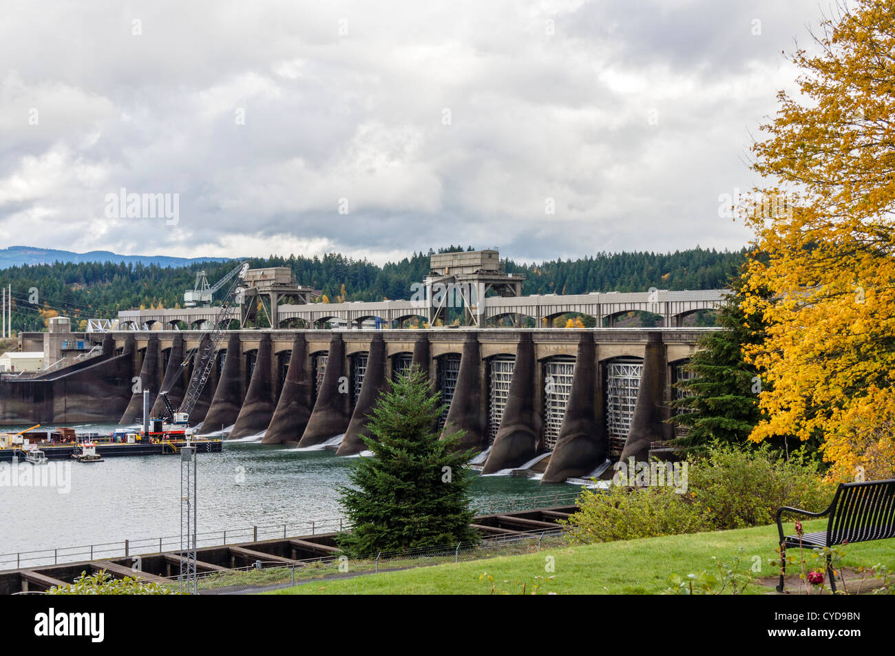 Le barrage de Bonneville sur le fleuve Columbia, Columbia River Gorge, comté de Multnomah, Oregon, USA Banque D'Images