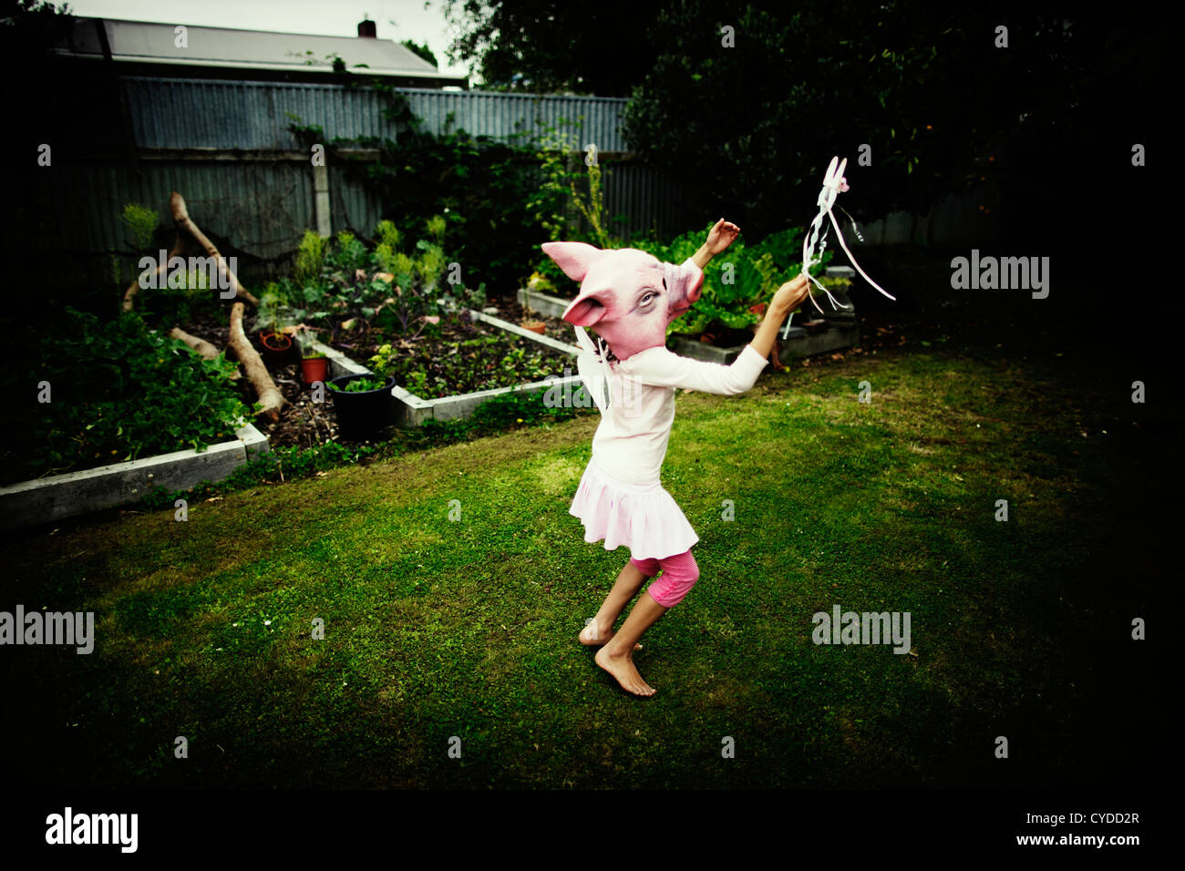 Ballerine danse porcinet rose, avec baguette et ailes. Banque D'Images