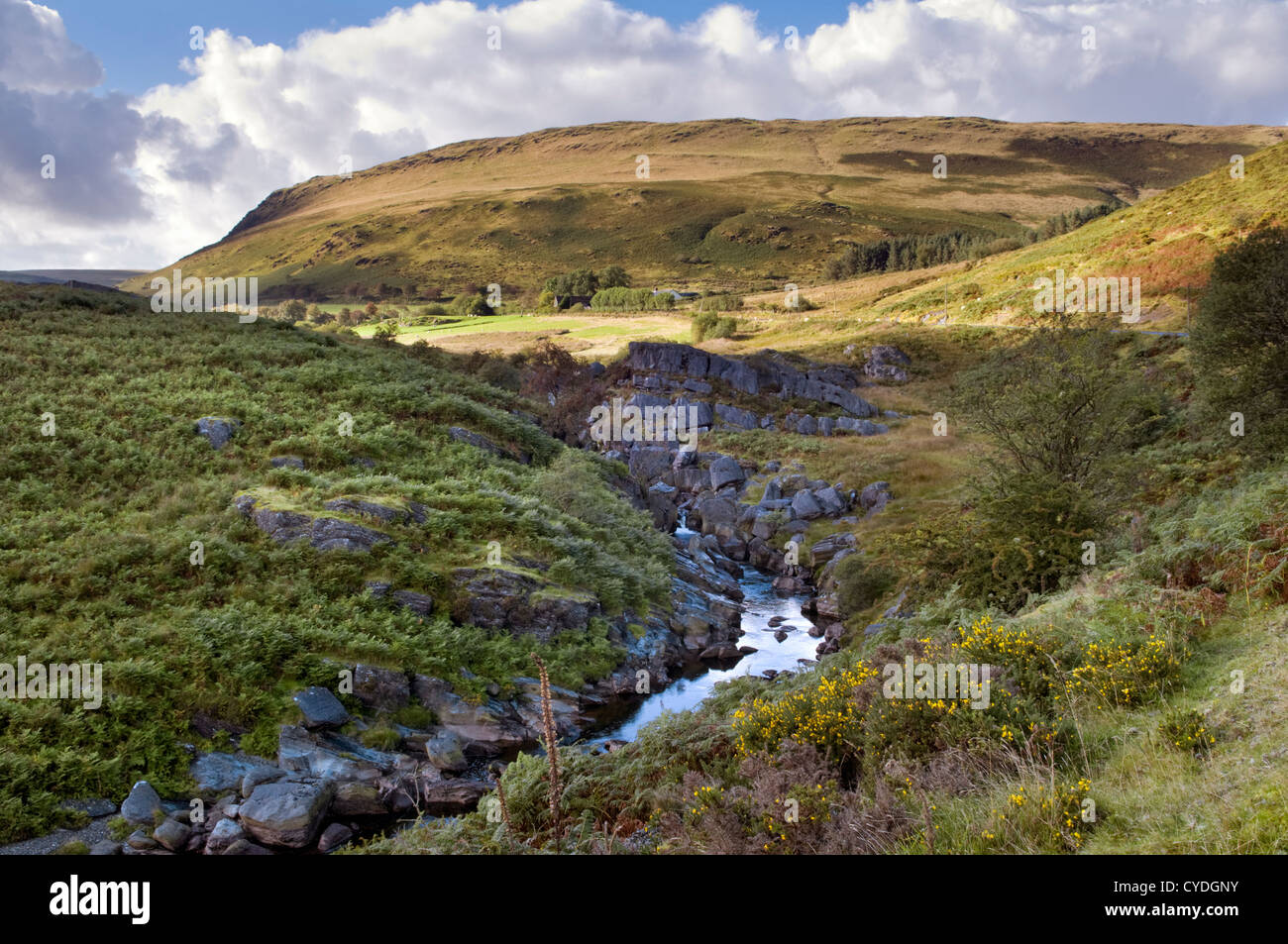 Vue panoramique sur la façon d'Claerwen à Elan valley, Pays de Galles, Royaume-Uni Banque D'Images