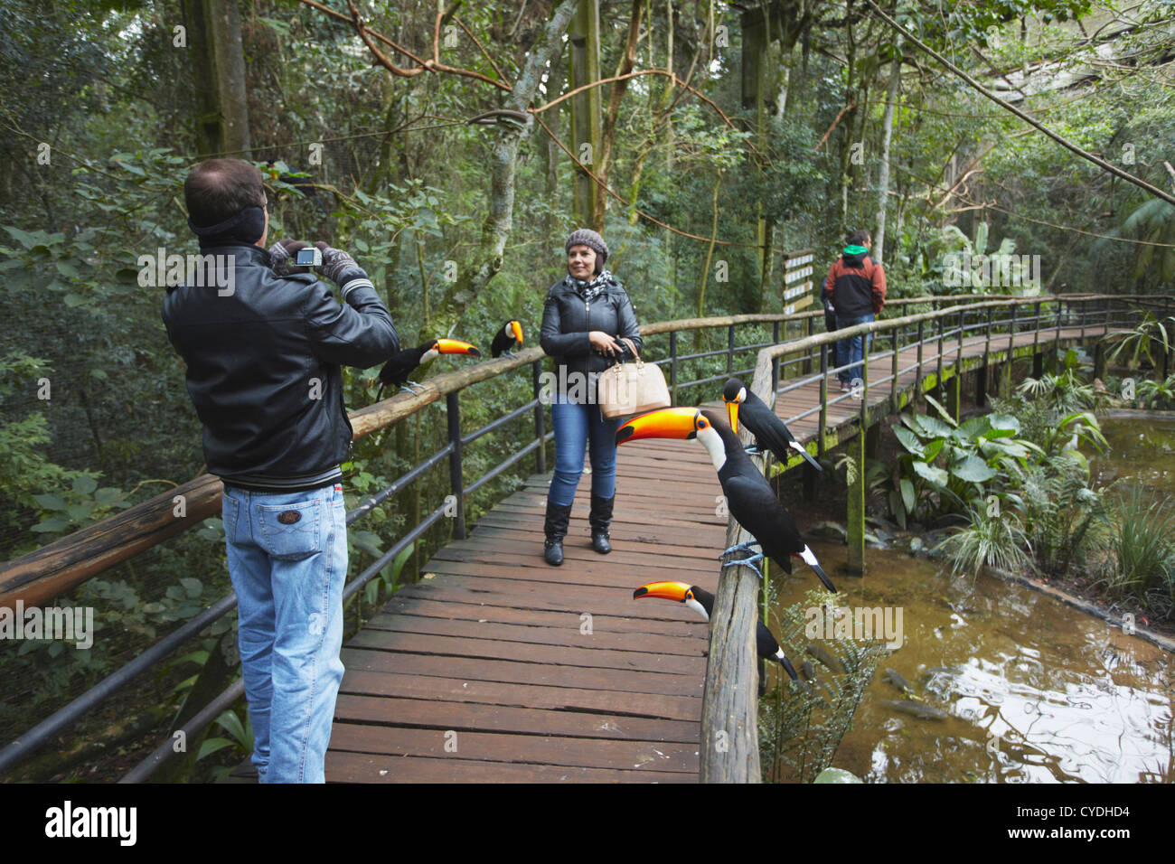 Les personnes prenant photo de toucans à Parque das Aves (Parc des Oiseaux), Iguacu, Parana, Brésil Banque D'Images
