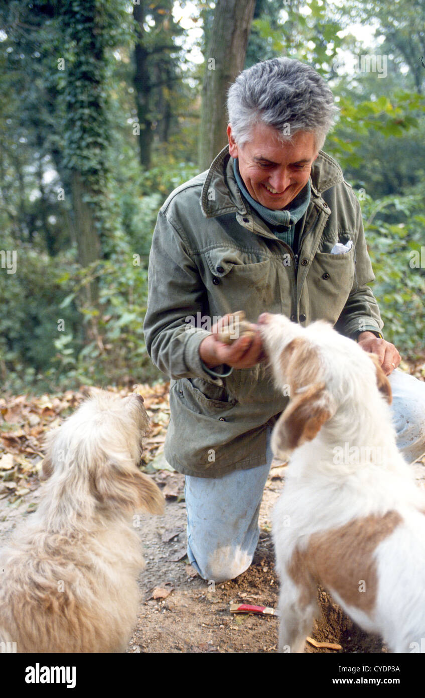 Une truffe HUNTER AVEC SON CHIEN PRÈS DE ALBA PIAMONTE ITALIE Banque D'Images