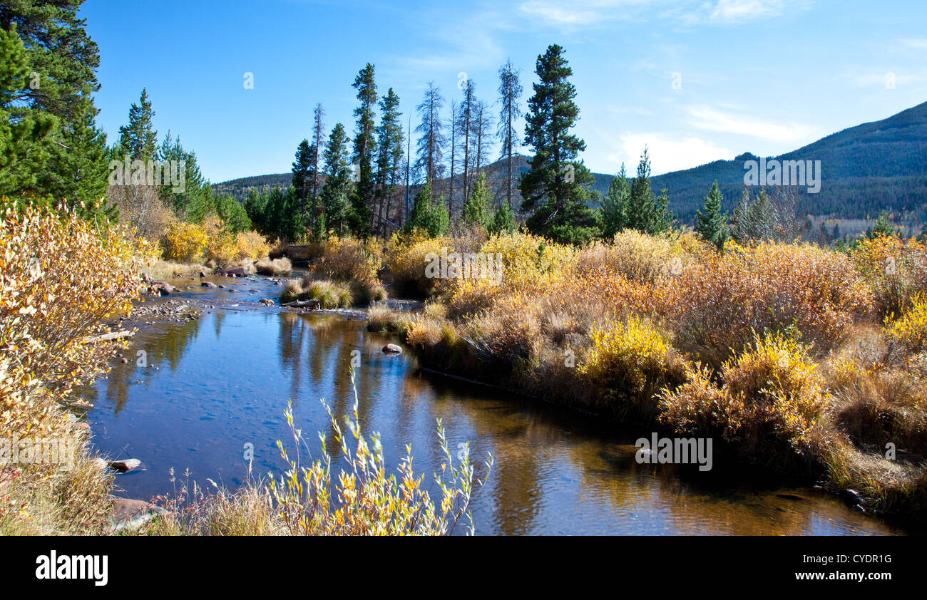 La Big Thompson River comme il fait son chemin à travers le Parc National des Montagnes Rocheuses, au Colorado. Banque D'Images
